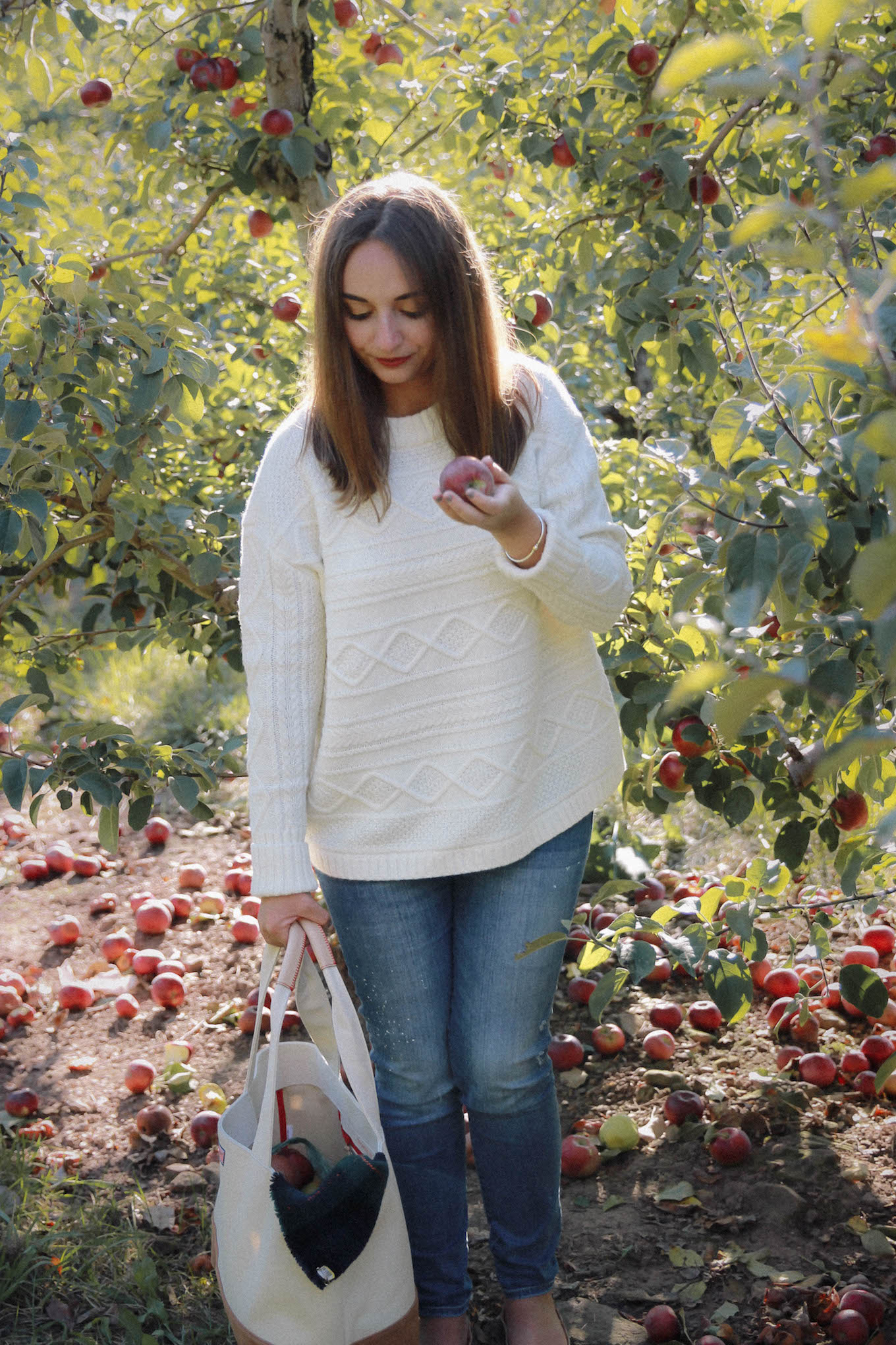 6 Apple Orchards To Visit During New England Fall The Coastal ...