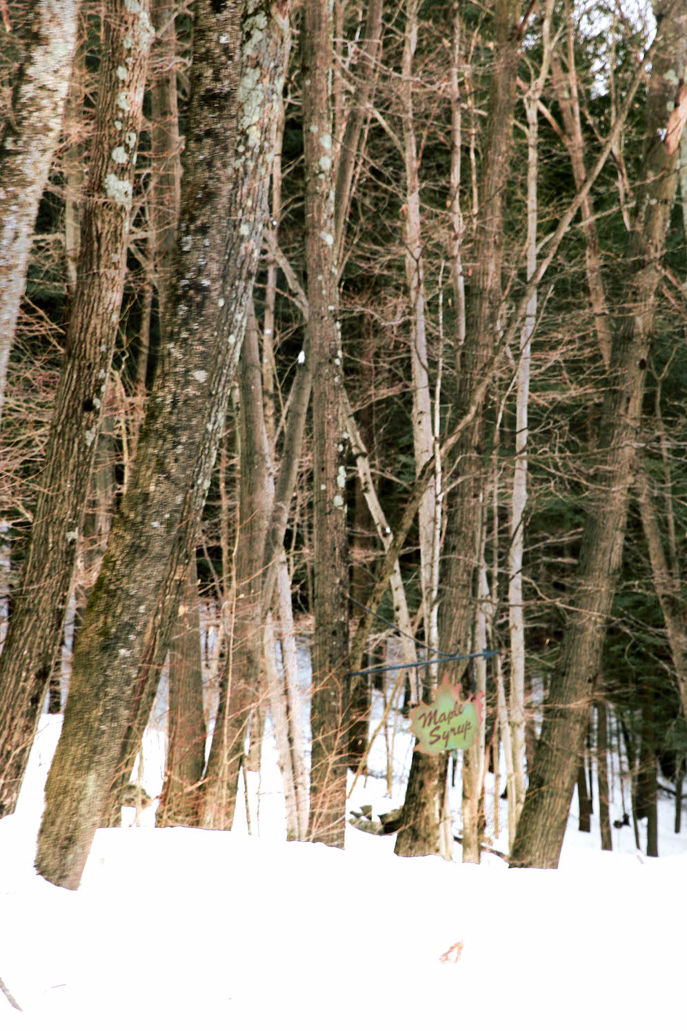 Explore Maple Season in Woodstock Vermont The Coastal Confidence Aubrey Yandow