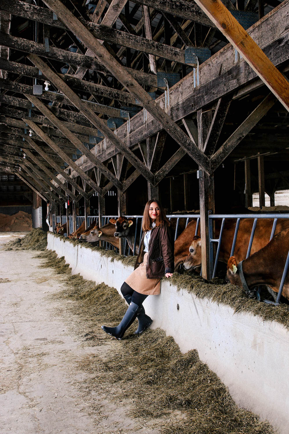 Dairy Farms Worth Visiting In Vermont The Coastal Confidence Aubrey Yandow