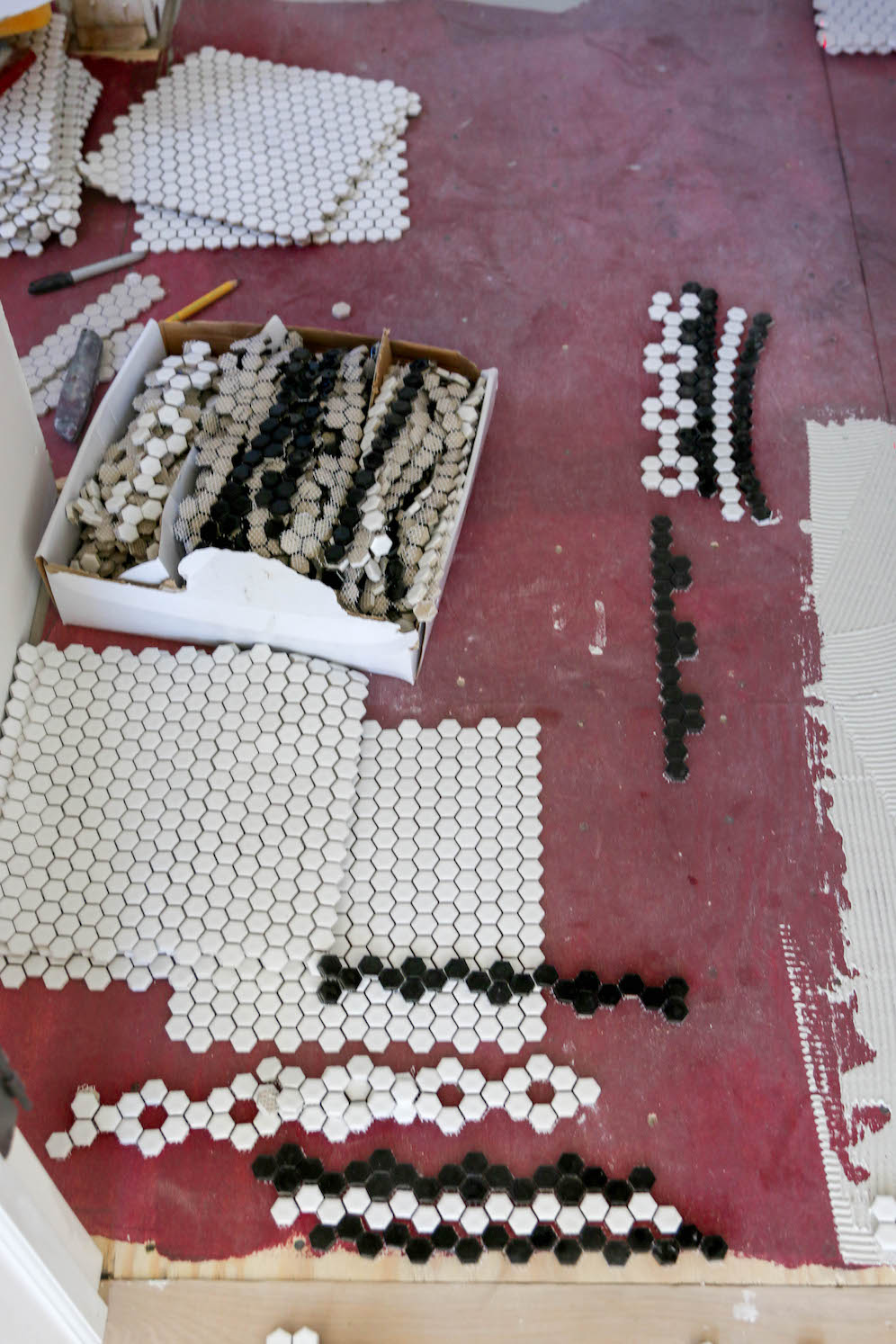 6" Victorian styled honeycomb tile The Coastal Confidence Aubrey Yandow
