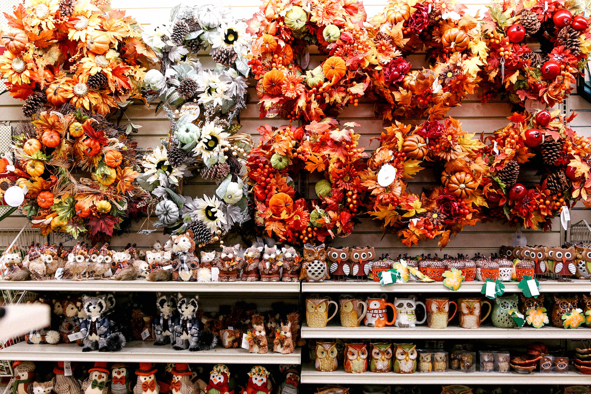 Autumn Decor At Christmas Tree Shops Aubrey Yandow The Coastal Confidence