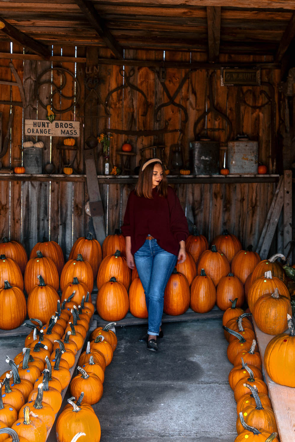 Pumpkin Patches To Visit in New England The Coastal Confidence