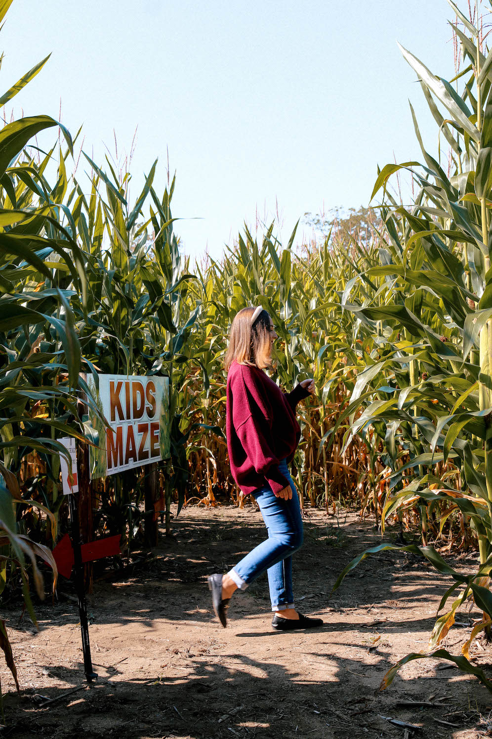 Corn Mazes Worth Visiting This Fall At New England Dairy Farms The Coastal Confidence Aubrey Yandow