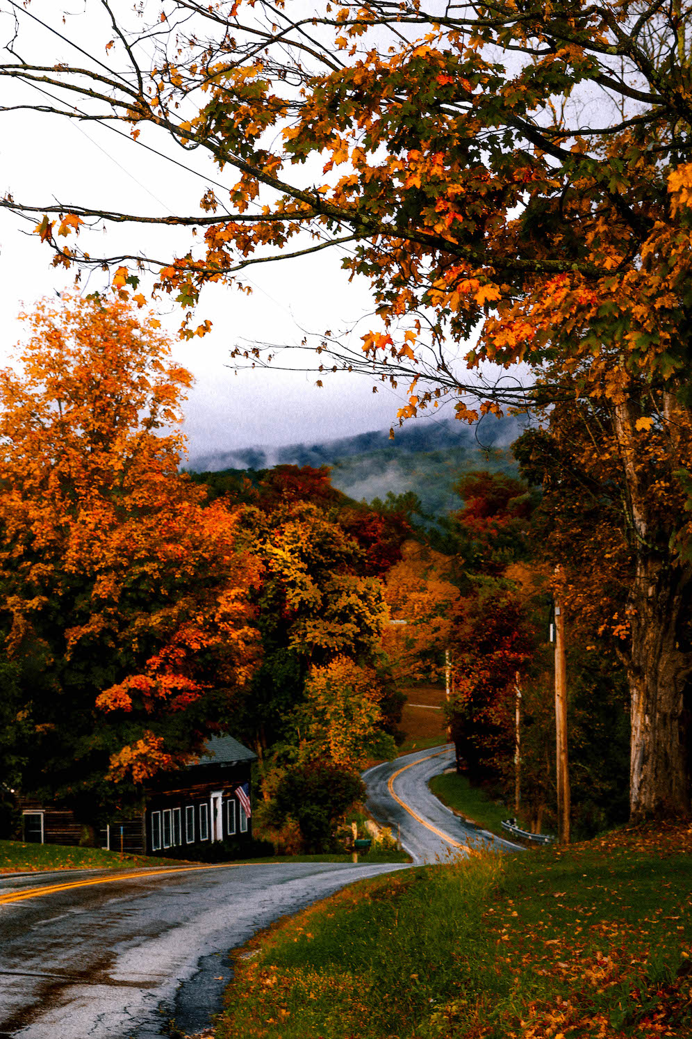 Your Guide To Leaf-Peeping In Manchester Vermont The Coastal Confidence Aubrey Yandow