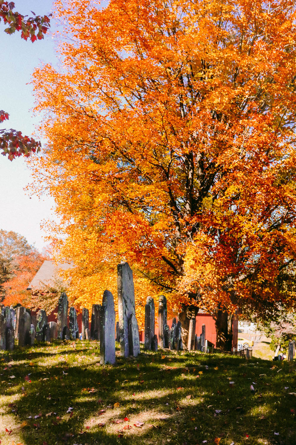 Historic Graveyards To Visit In New England The Coastal Confidence Aubrey Yandow 