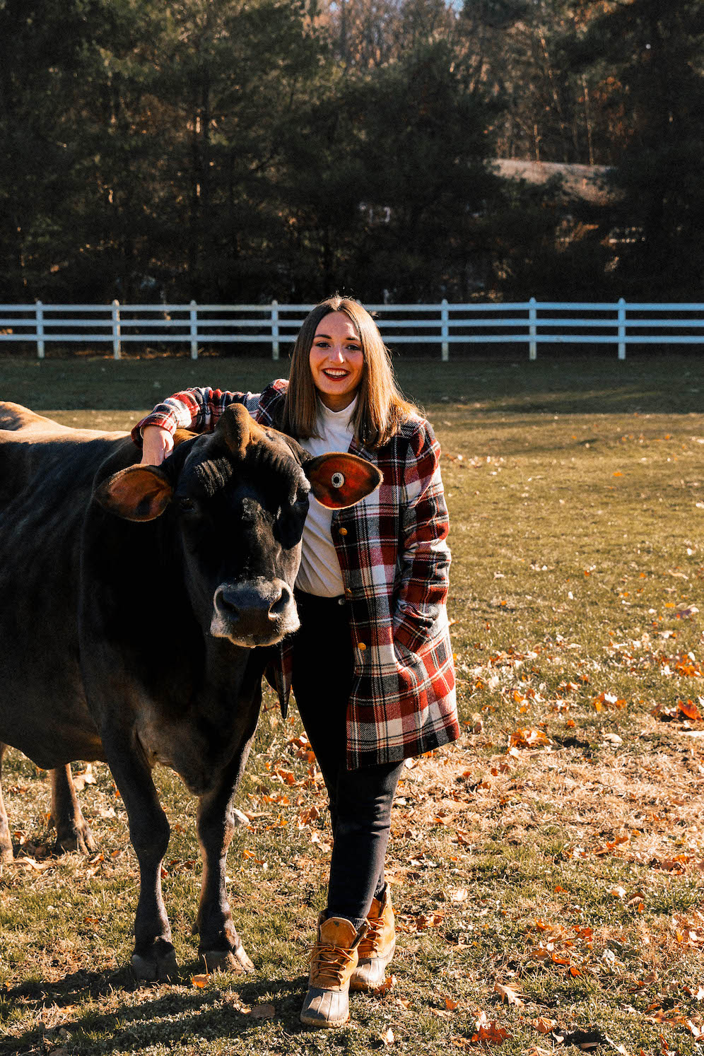 New England Dairy Farms The Coastal Confidence Aubrey Yandow