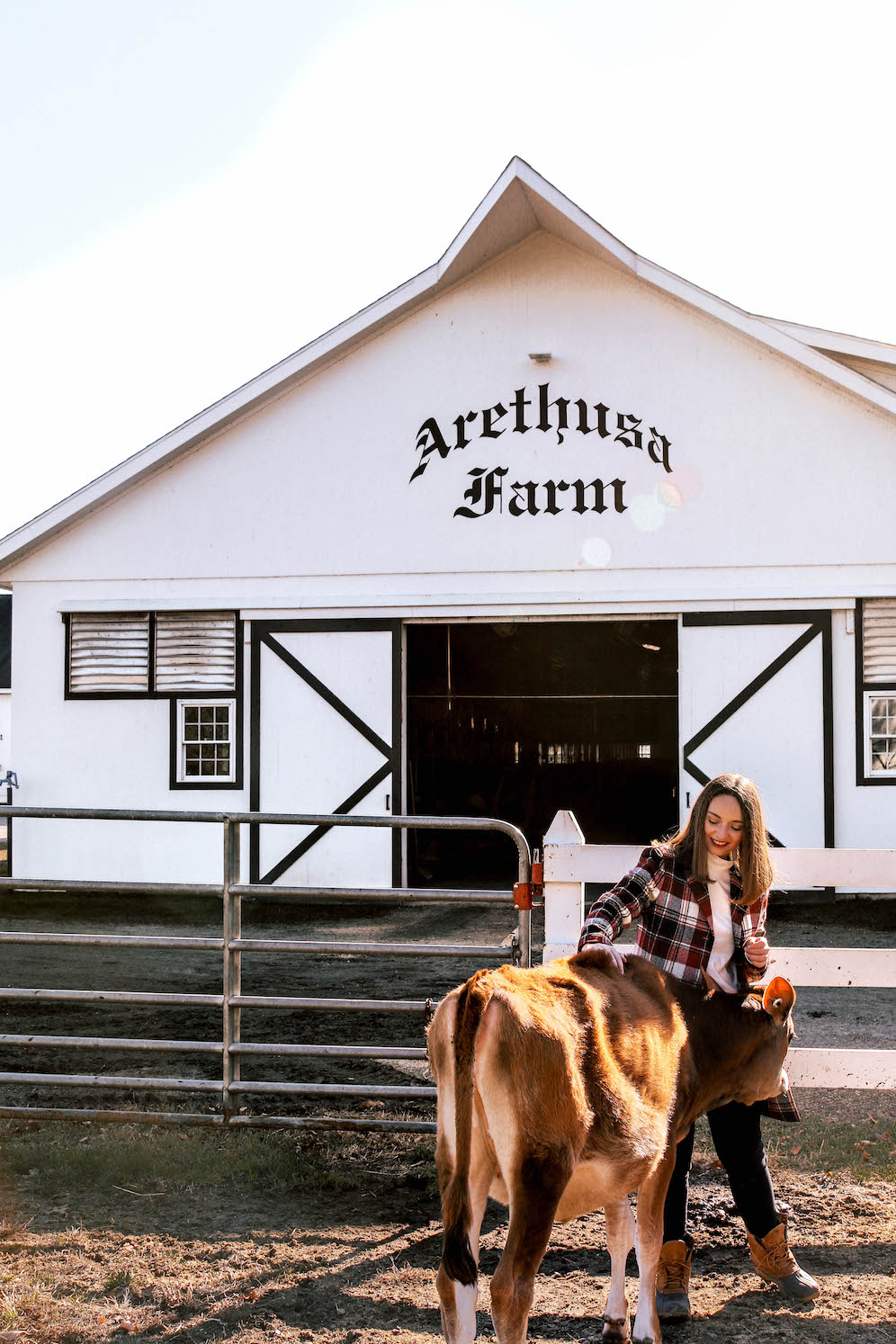 Arethusa Farm Litchfield Connecticut Eggnog The Coastal Confidence Aubrey Yandow