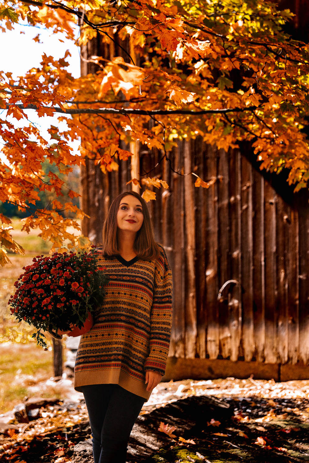 New England Fall Foliage The Coastal Confidence Aubrey Yandow