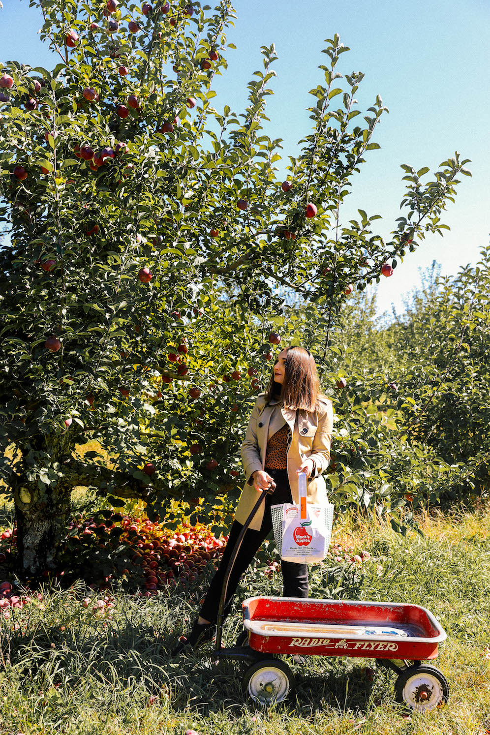Apple Orchards To Visit During New England Fall | The Coastal Confidence Aubrey Yandow