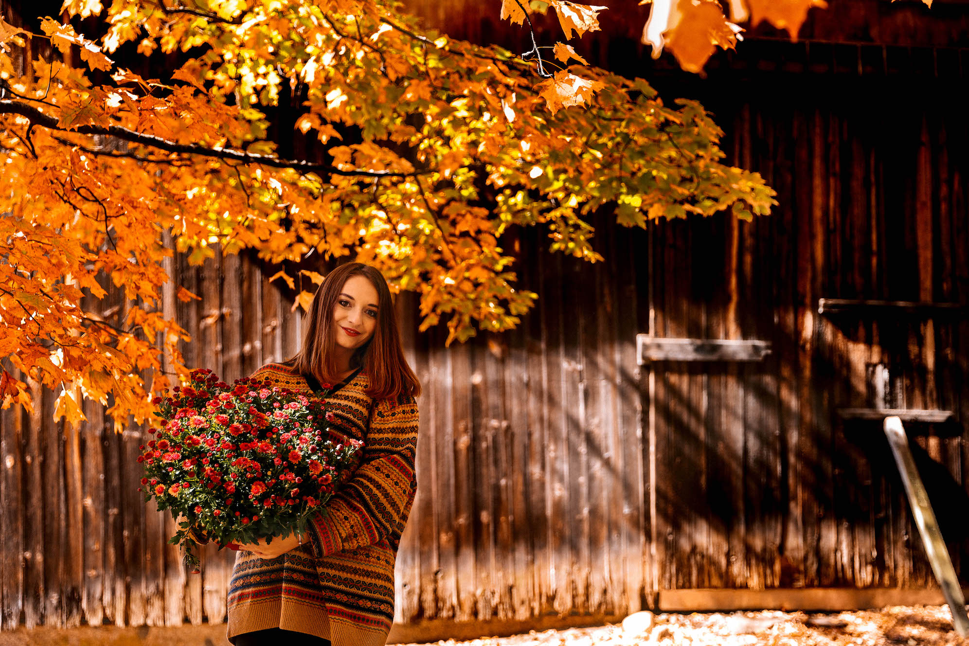 Mums Autumn Hues Inside & Outside Your Home Aubrey Yandow